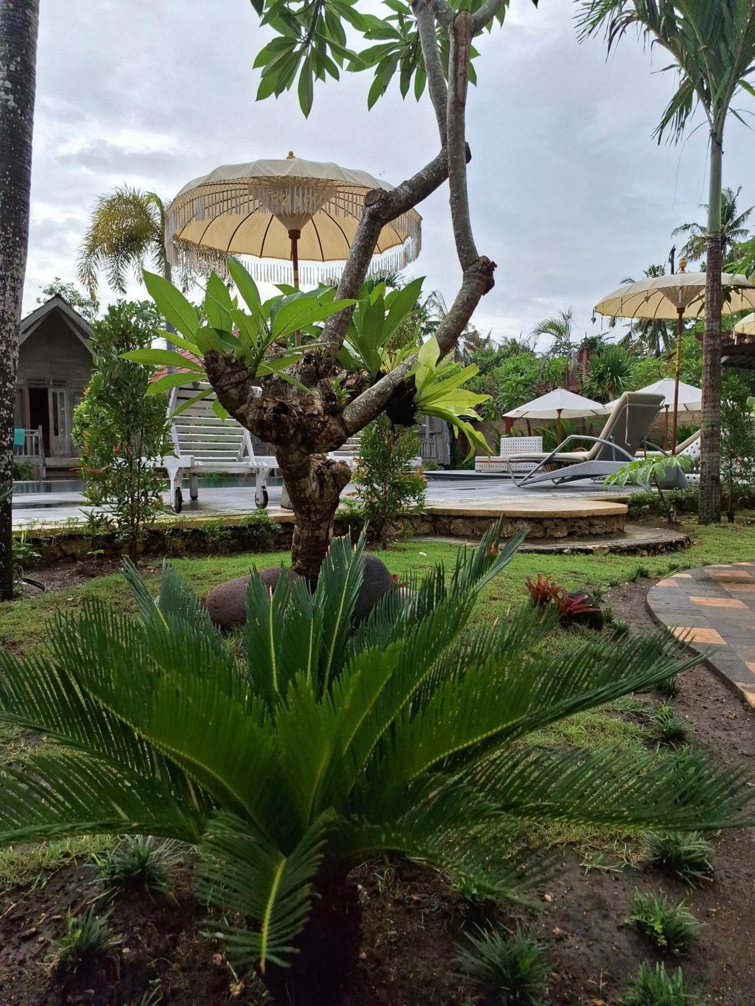 Grand Daghan Cottage Batununggul Buitenkant foto